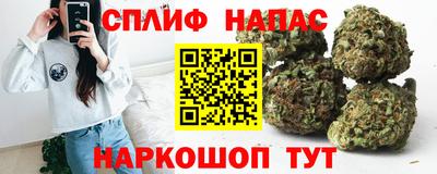 прущие грибы Боровичи