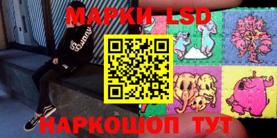 шишки Братск