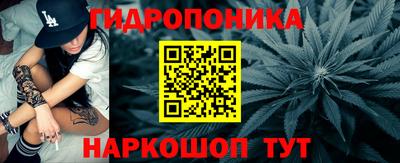 шишки Братск