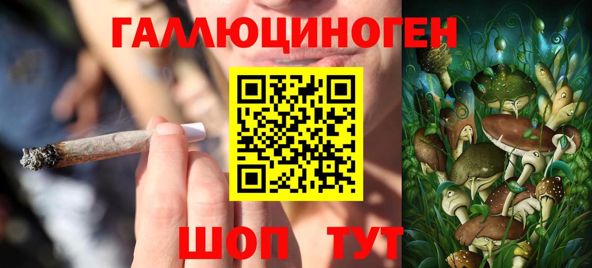 Галлюциногенные грибы прущие грибы Ногинск