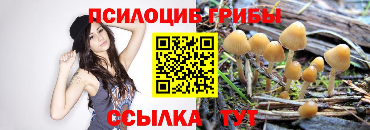 Псилоцибиновые грибы мухоморы  Вход с VPN  Ногинск 